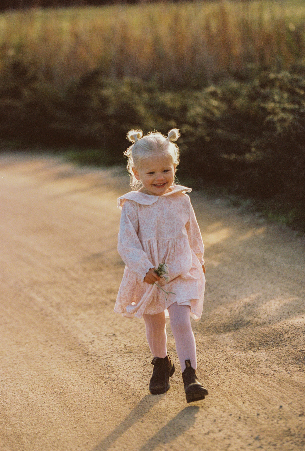 Celine Dress - Rosebud