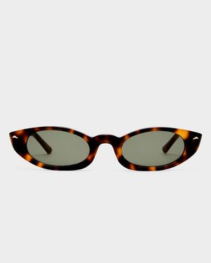 The Tortue - Tort