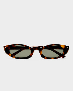 The Tortue - Tort