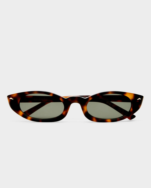 The Tortue - Tort