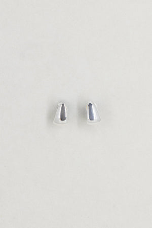 Rosco Earrings Silver