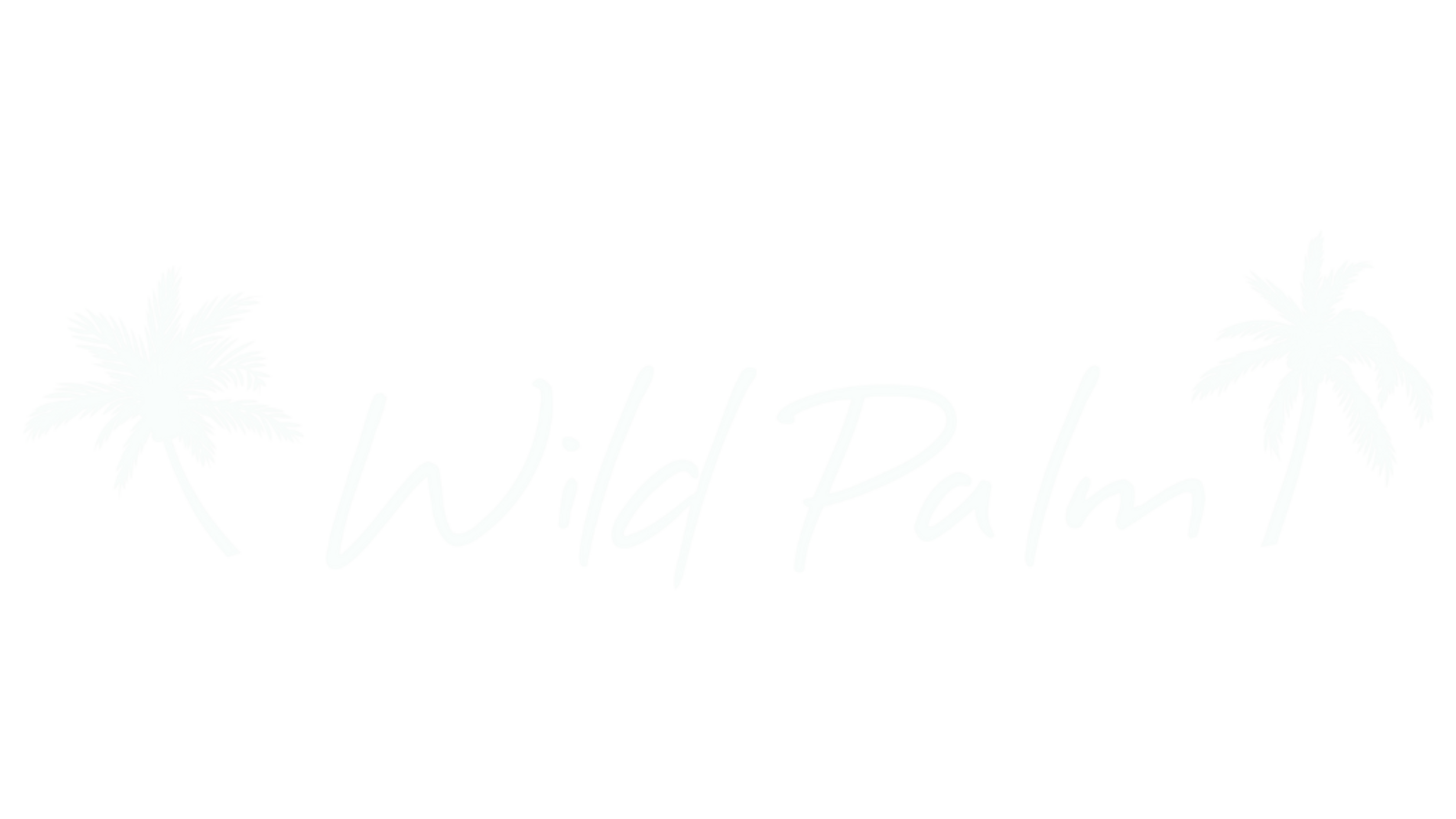 Wild Palm
