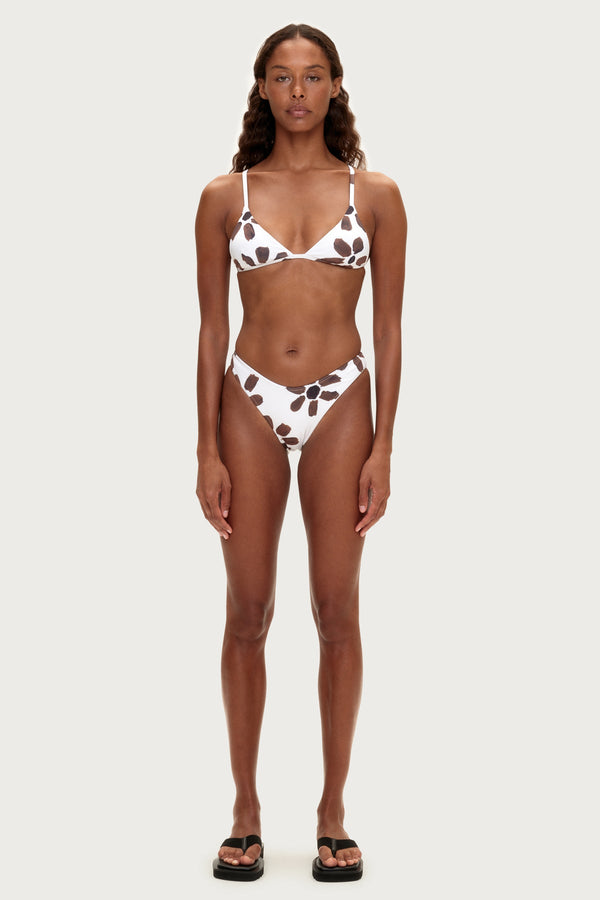 Curve Brief - Chocolate Flower