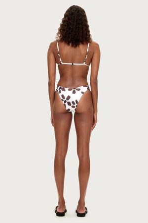 Curve Brief - Chocolate Flower