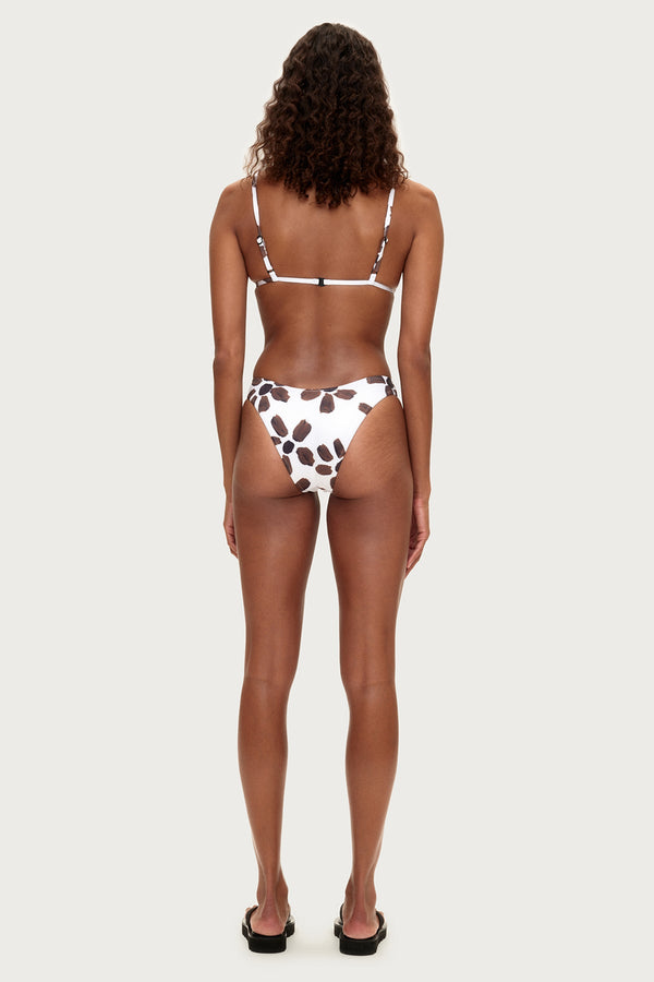 Curve Brief - Chocolate Flower