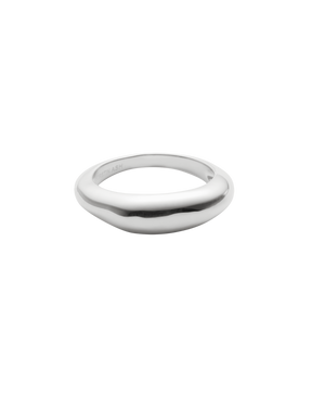Within Motion Ring -  Sterling Silver